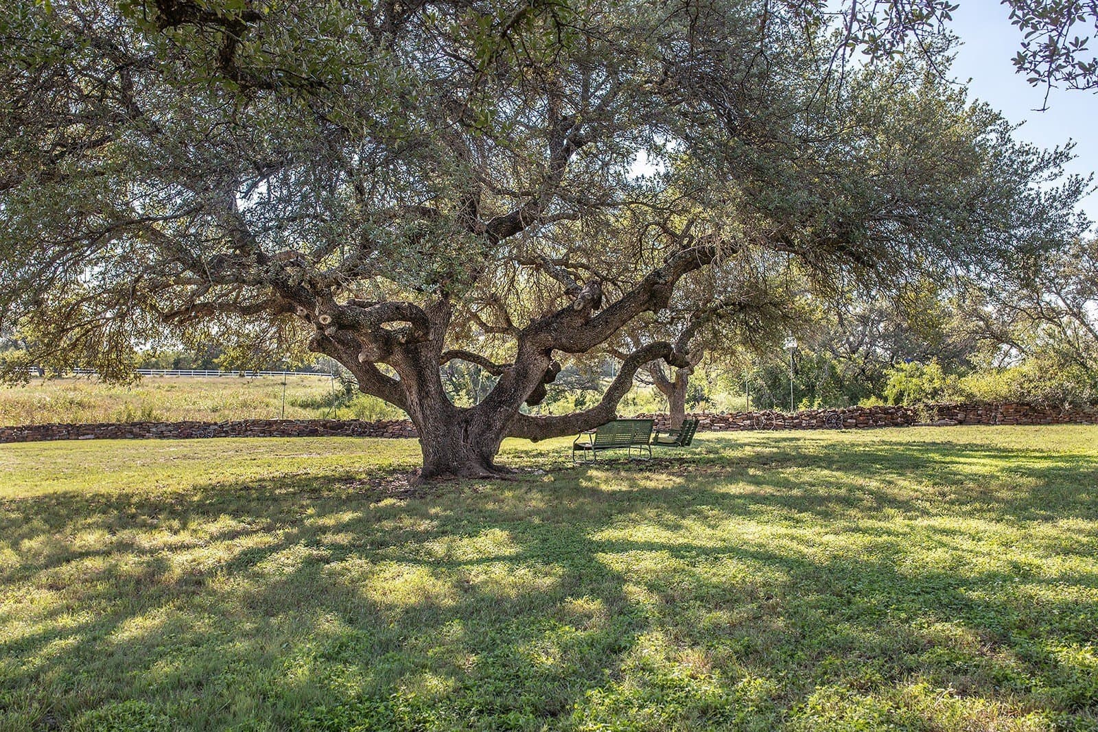 41 acres in McCulloch County - photo 2