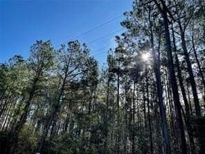 6.1 acres in Texas County