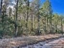 6.1 acres in Texas County gallery image 4