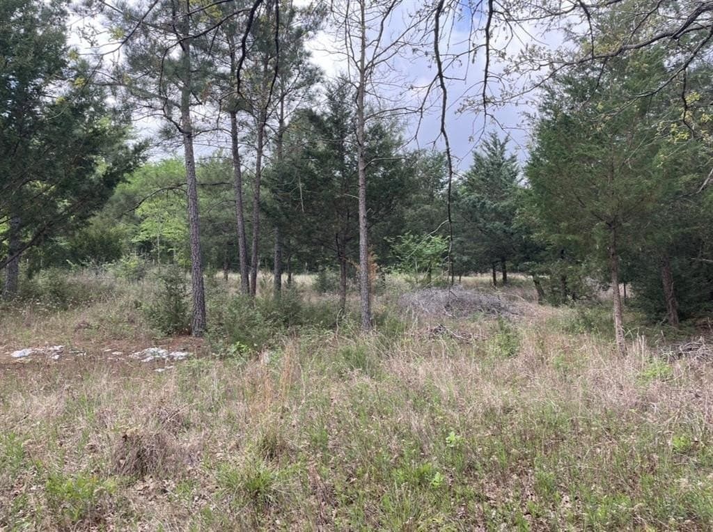 1.96 acres in Anderson County gallery image 2