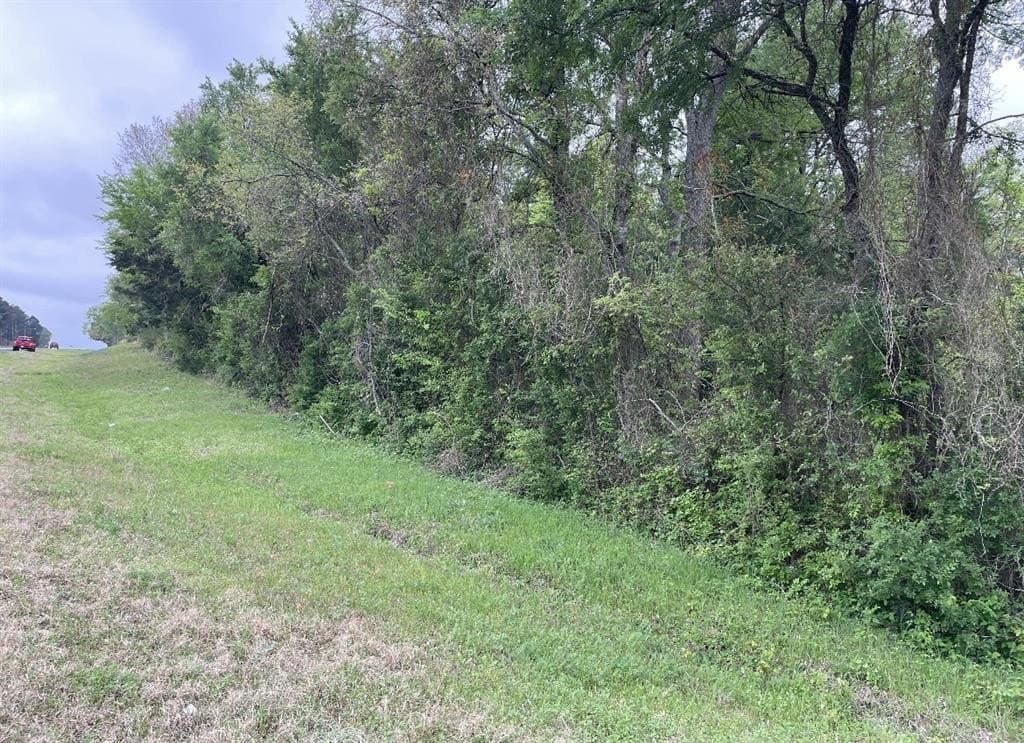 1.96 acres in Anderson County gallery image 4