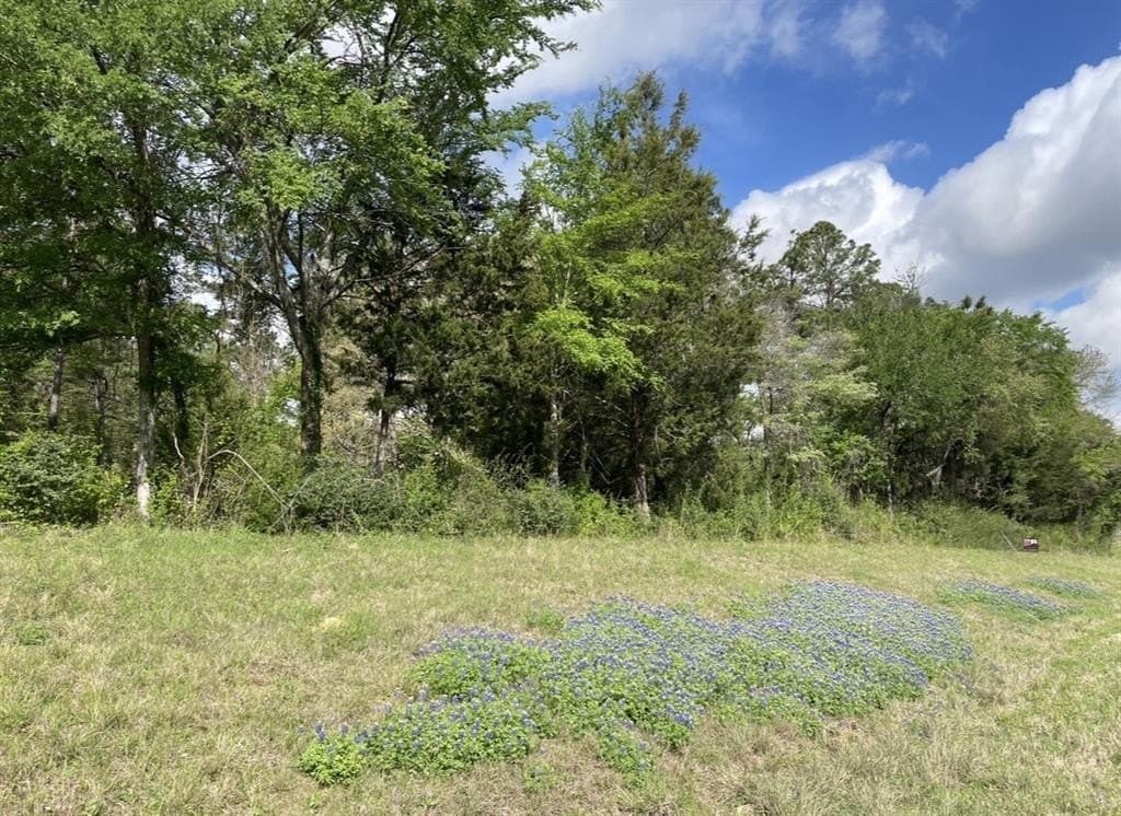 1.96 acres in Anderson County featured view