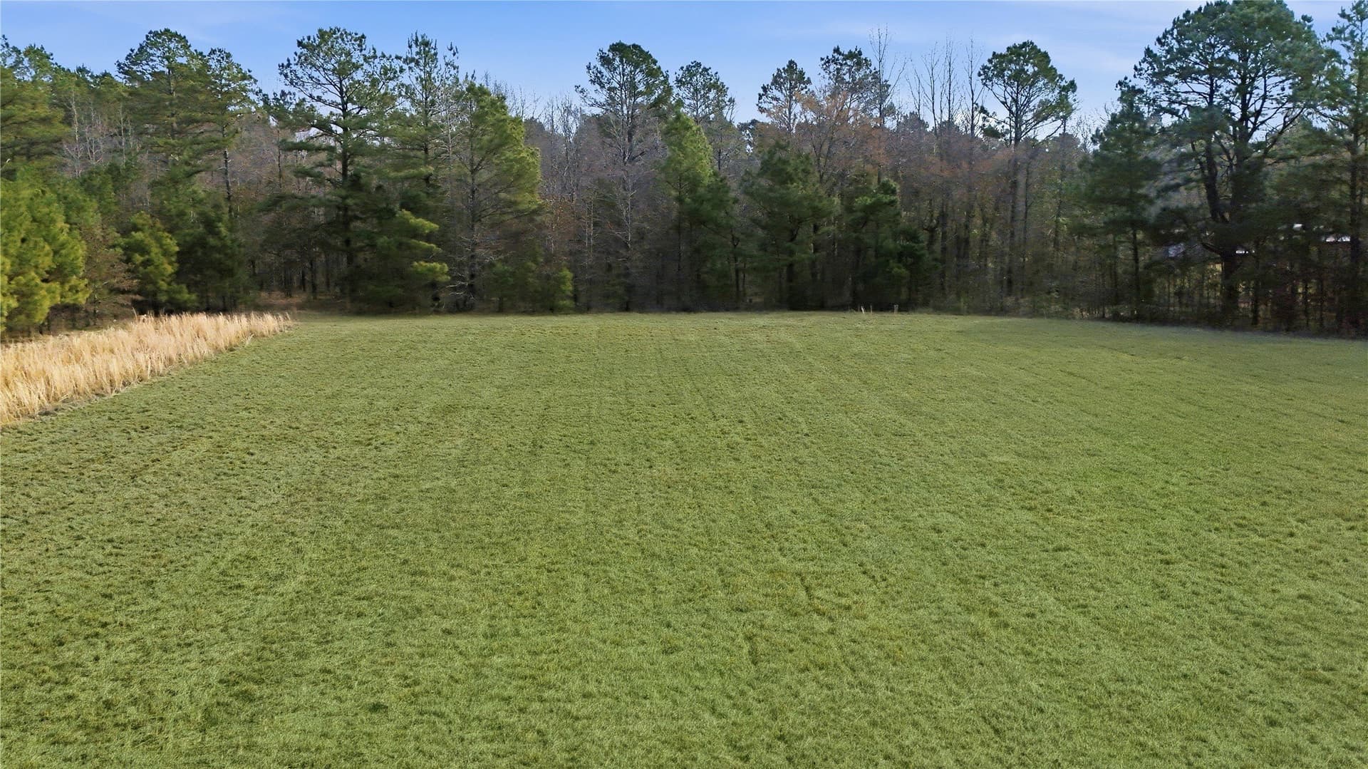 9.18 acres in Smith County - photo 12
