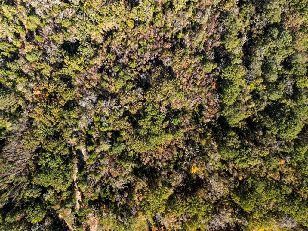 17 acres in Van Zandt County