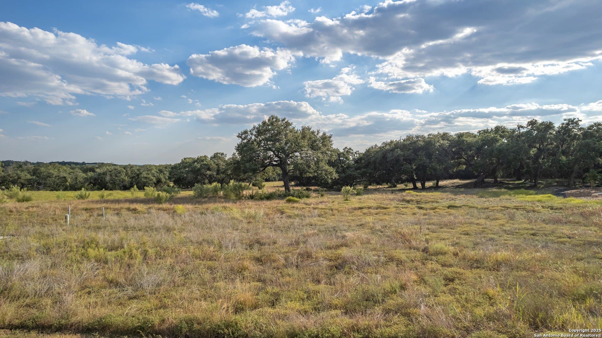 1.01 acres in Comal County gallery image 4