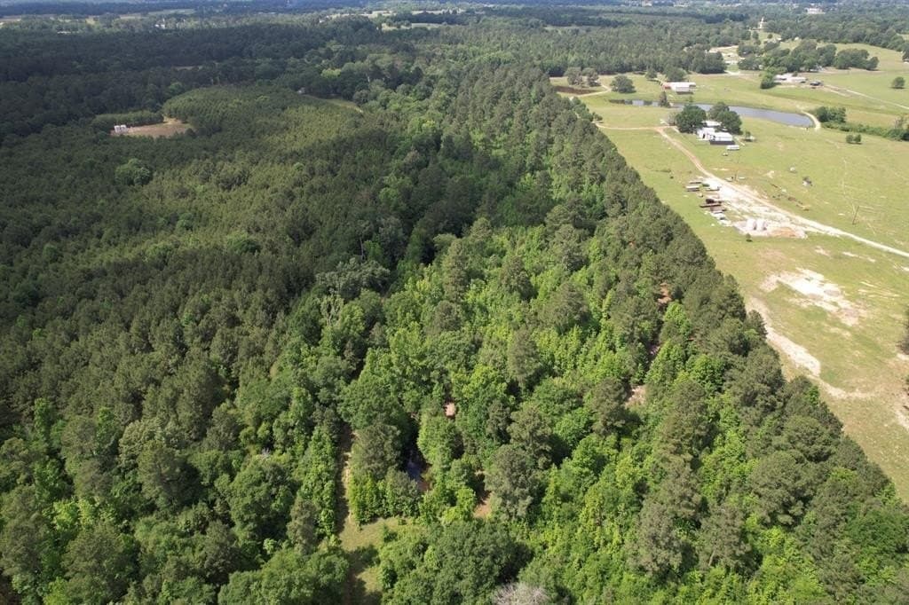 47.04 acres in Rusk County featured view