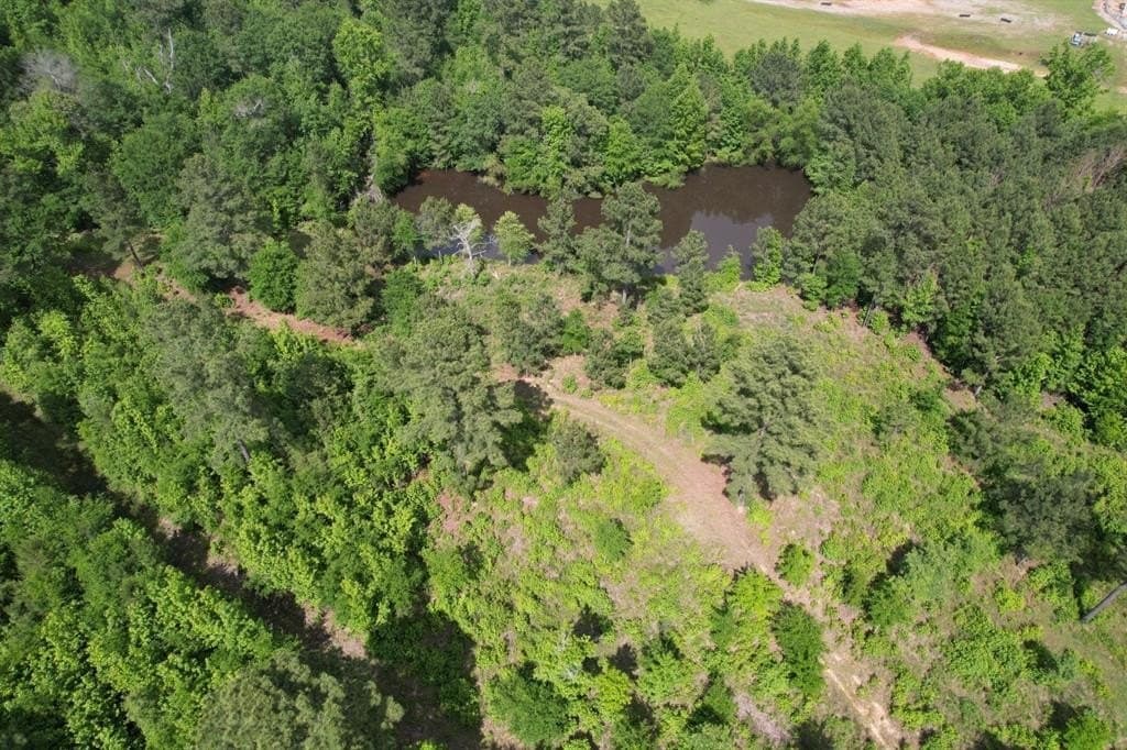 47.04 acres in Rusk County gallery image 3