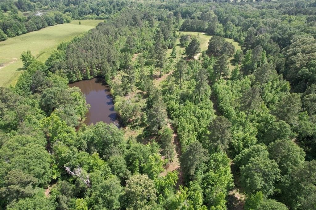 47.04 acres in Rusk County