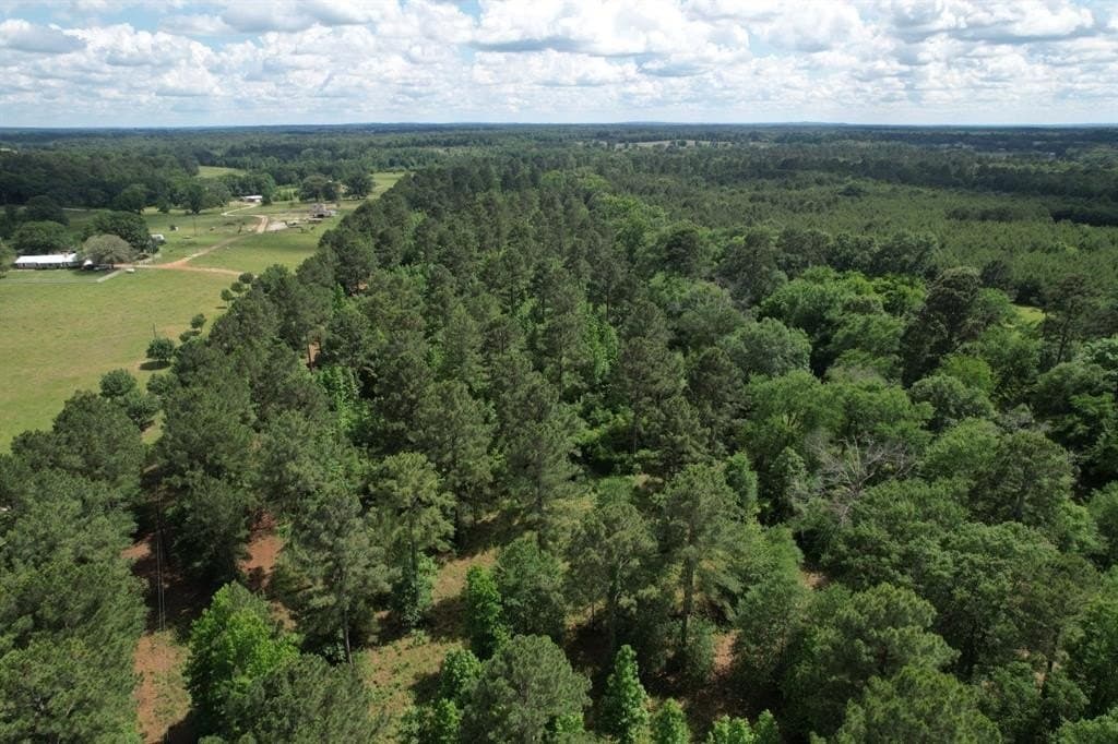 47.04 acres in Rusk County gallery image 4