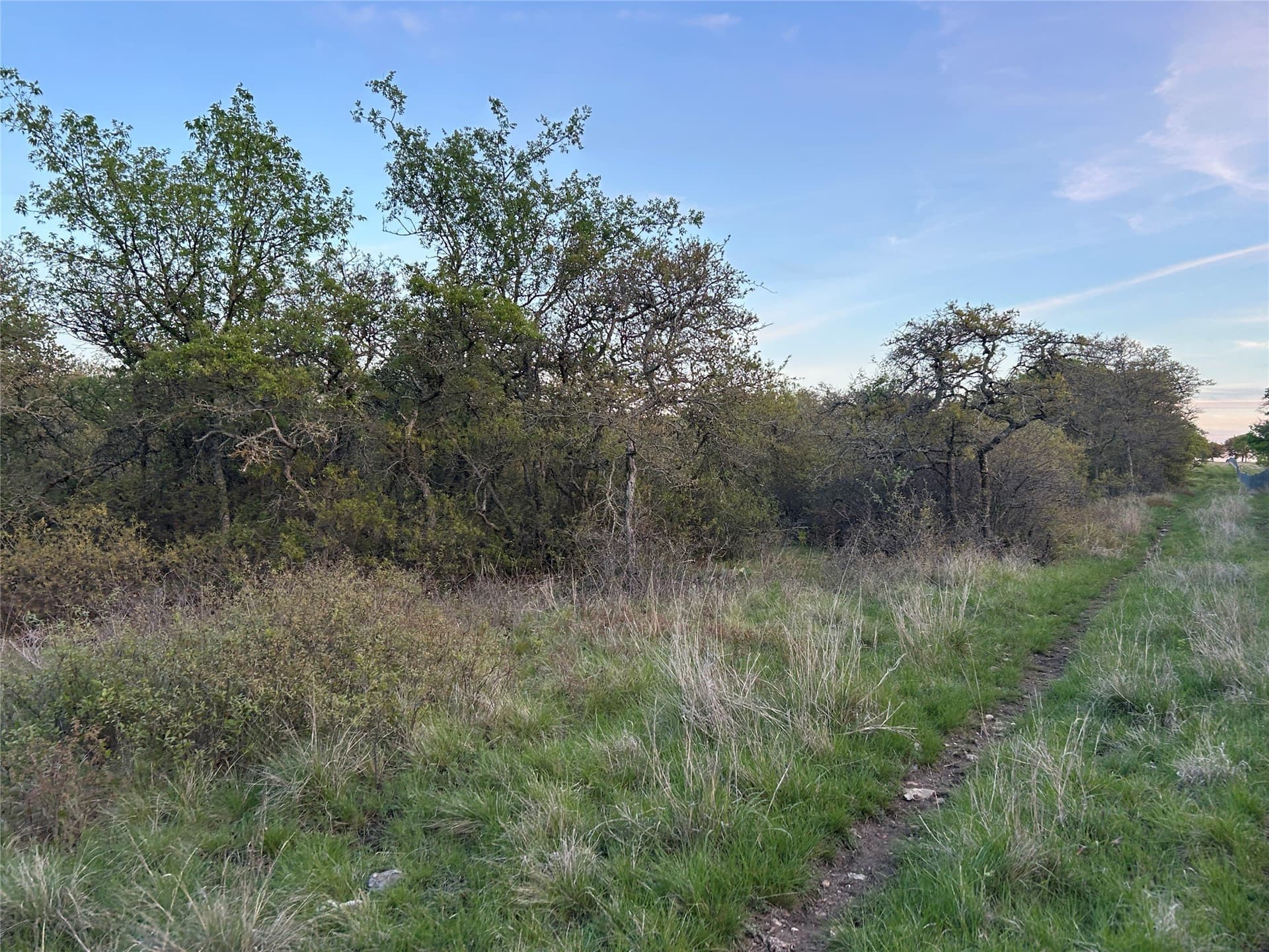 107.35 acres in Mills County - photo 13