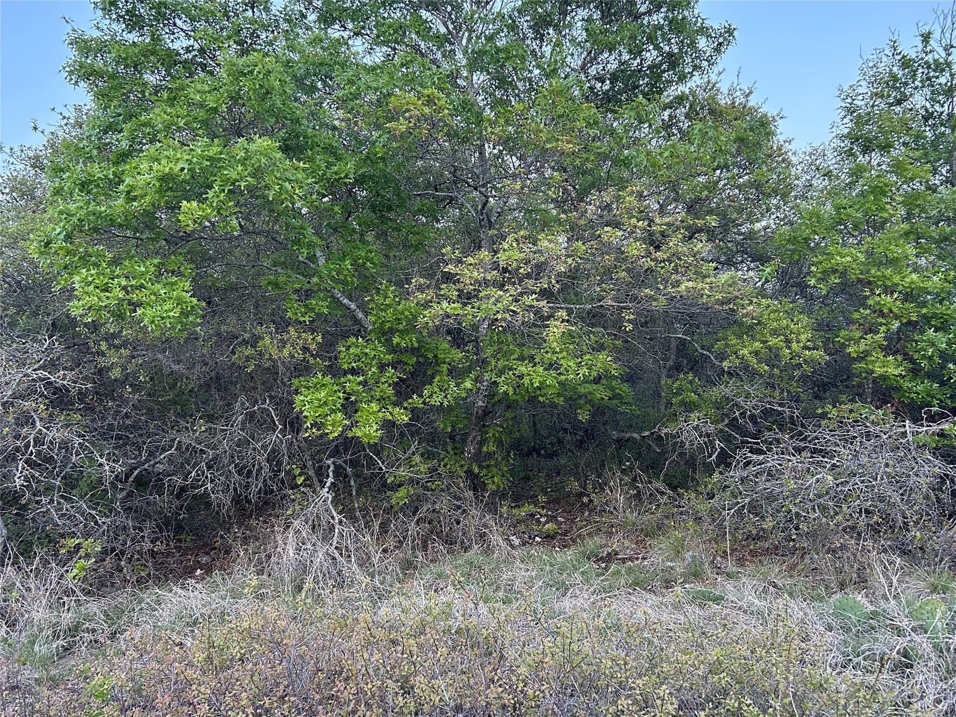 107.35 acres in Mills County - photo 18
