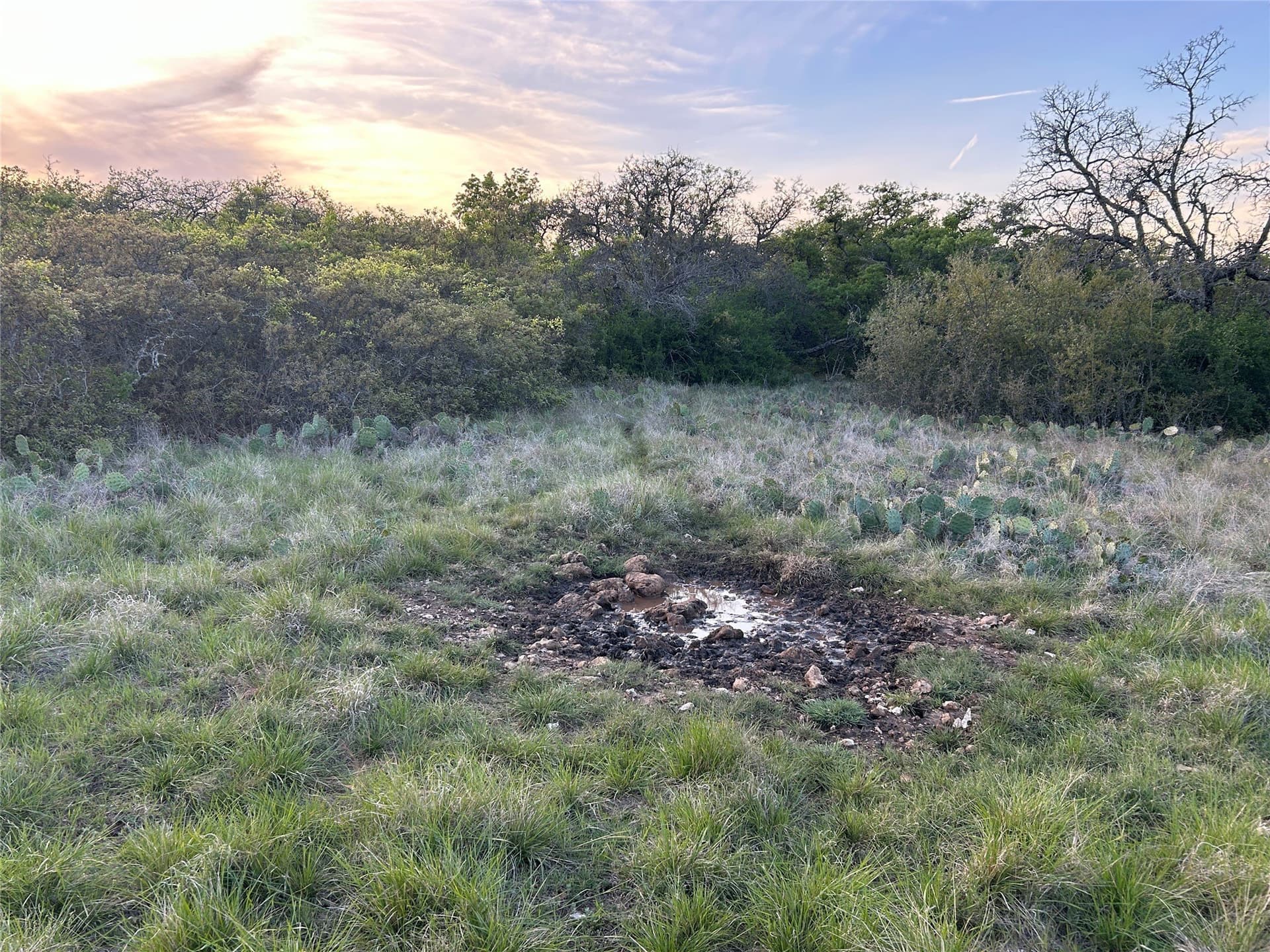 107.35 acres in Mills County - photo 6