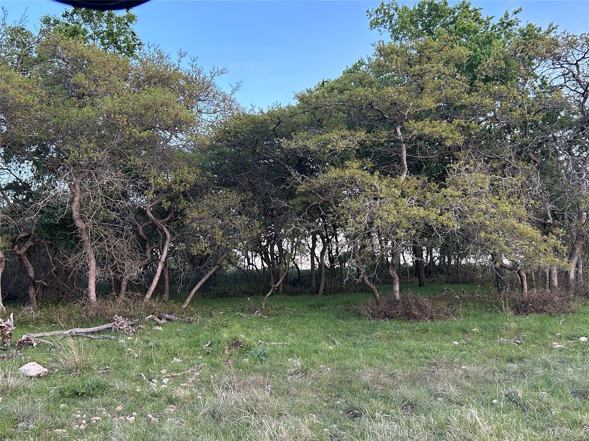 107.35 acres in Mills County - photo 10