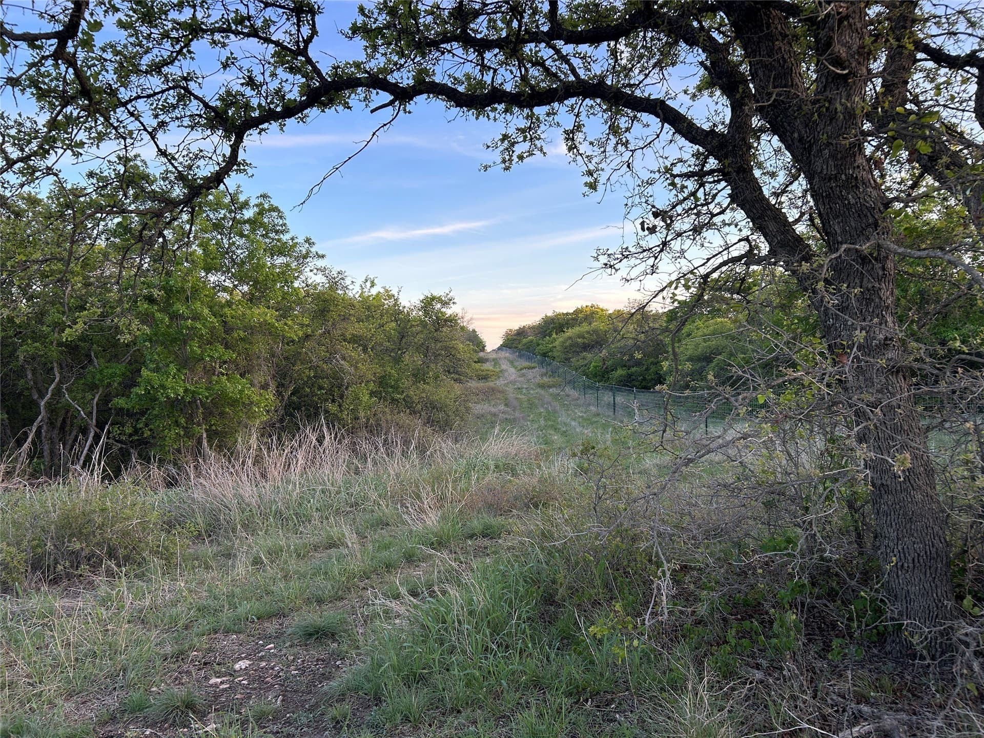 107.35 acres in Mills County gallery image 2