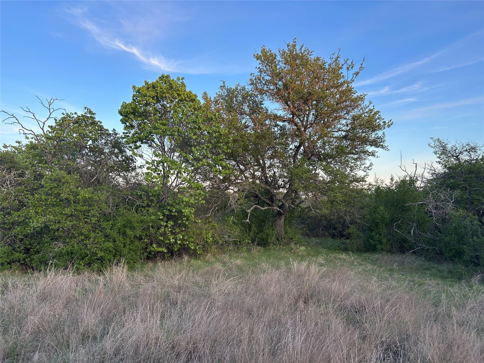 107.35 acres in Mills County - photo 25