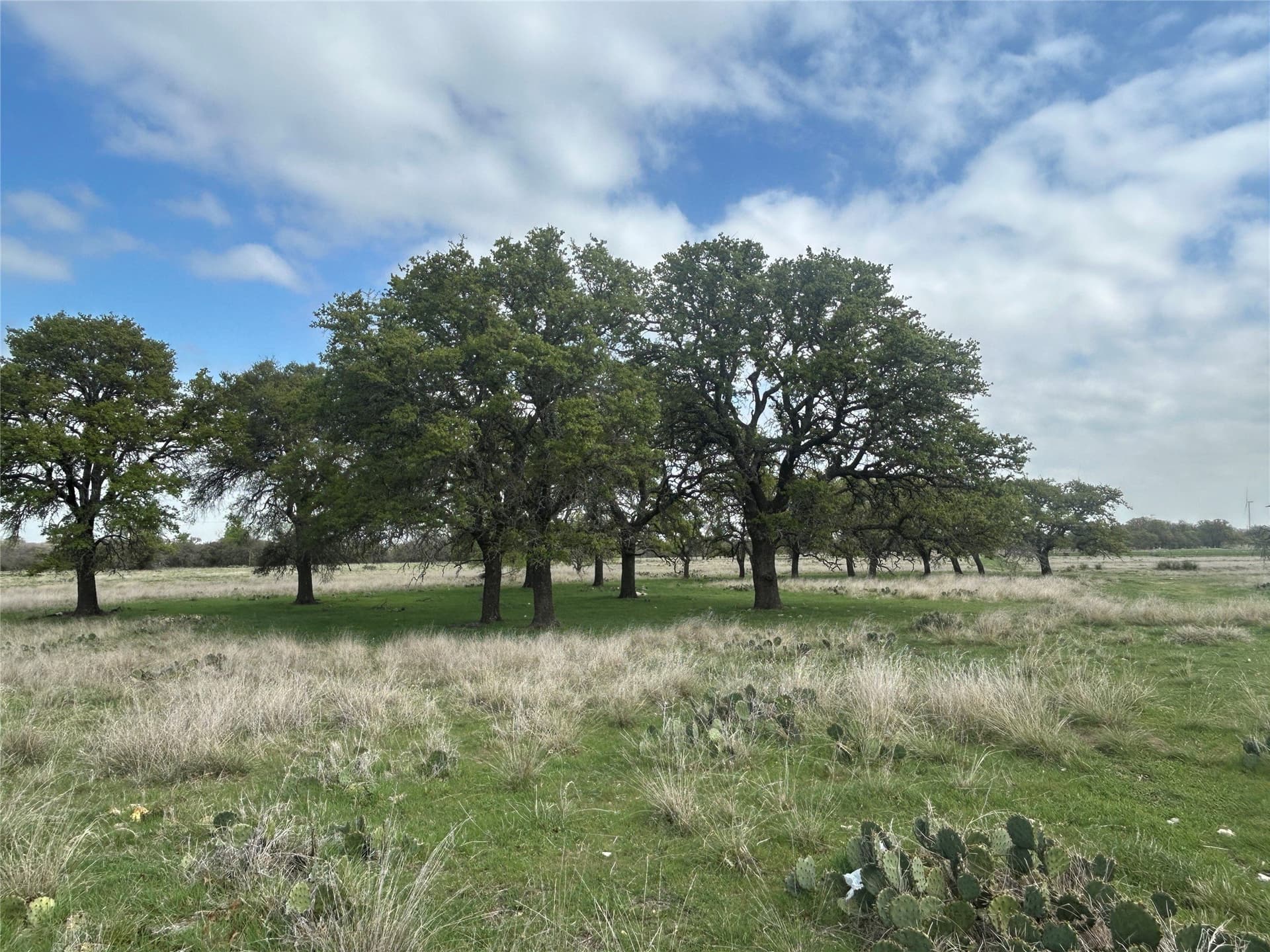 107.35 acres in Mills County - photo 7