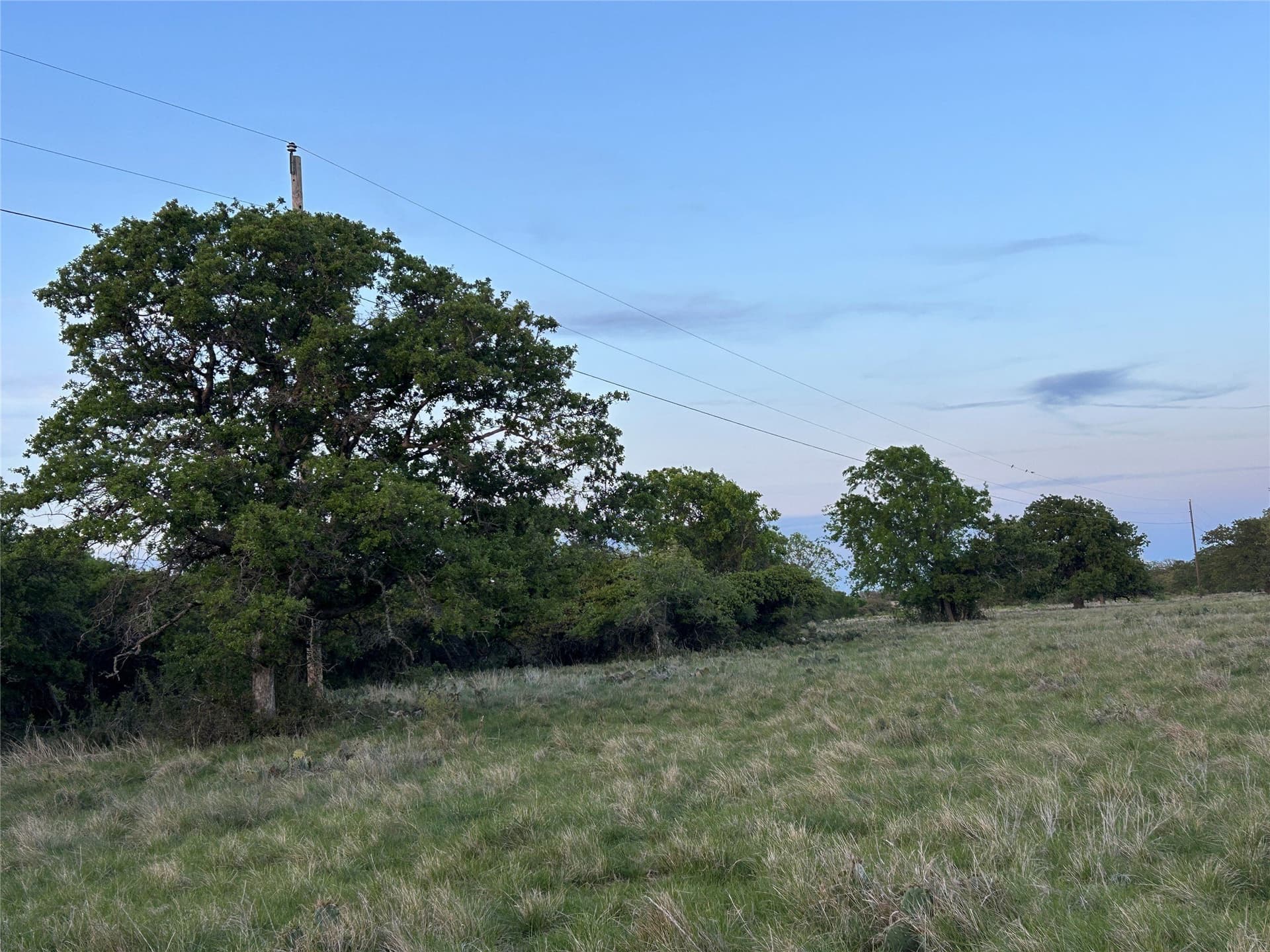 107.35 acres in Mills County - photo 14
