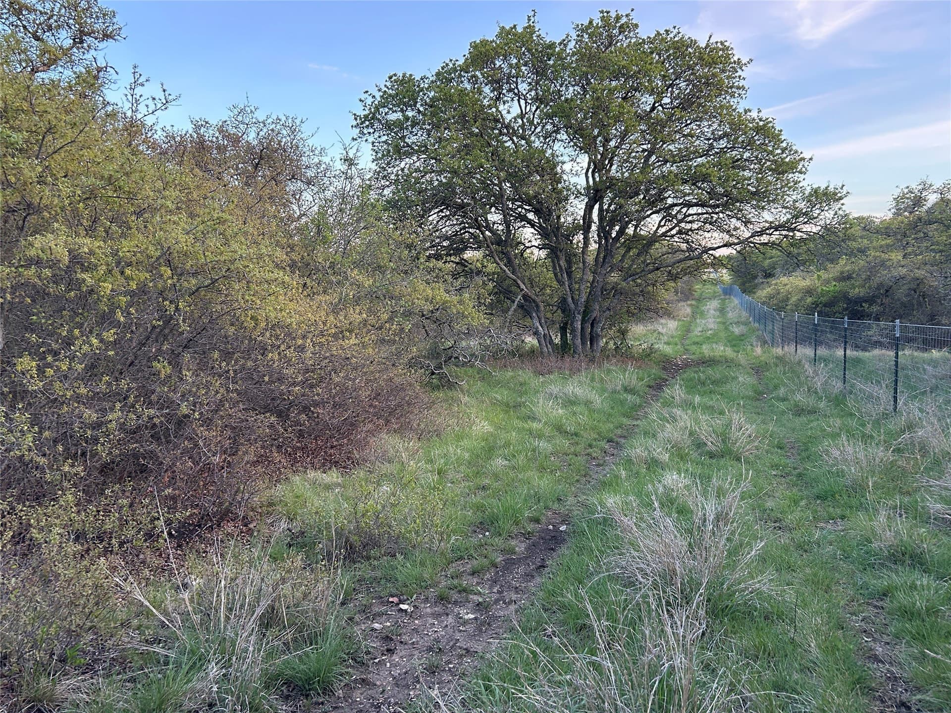 107.35 acres in Mills County - photo 12