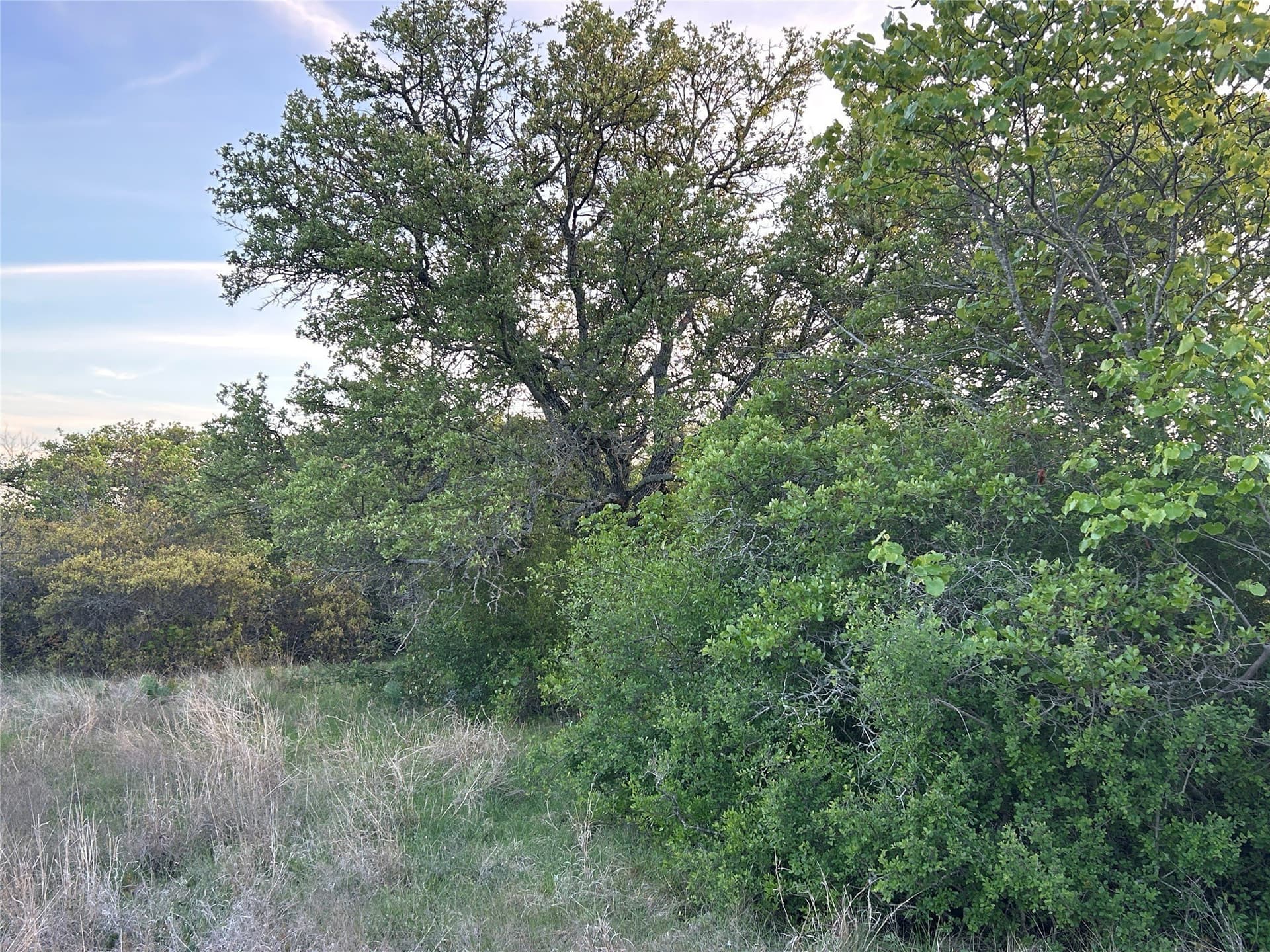 107.35 acres in Mills County - photo 20