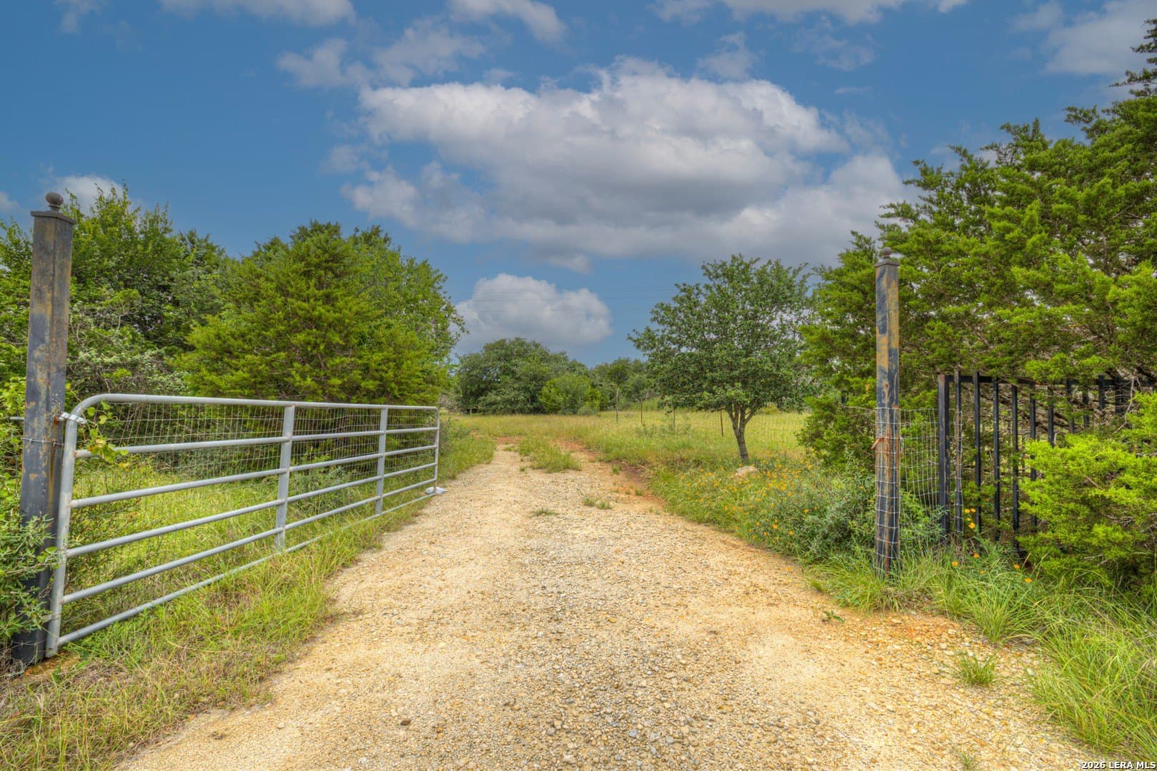5.05 acres in Comal County gallery image 3