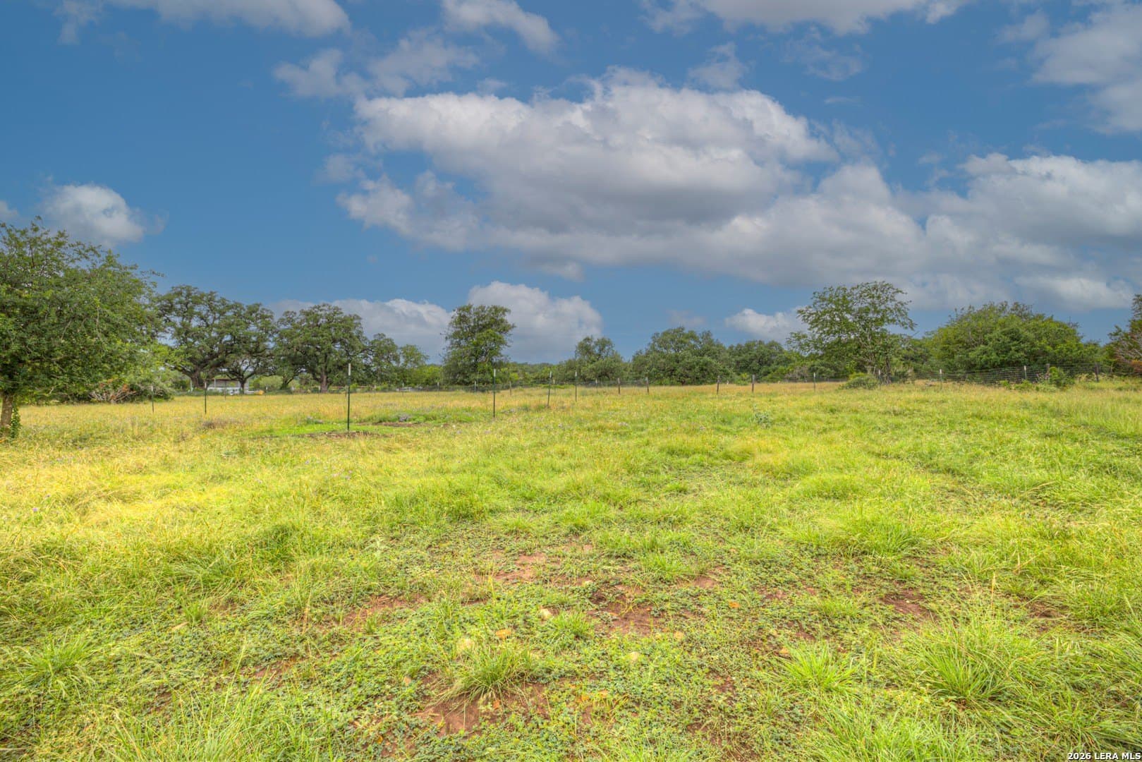 5.05 acres in Comal County gallery image 4