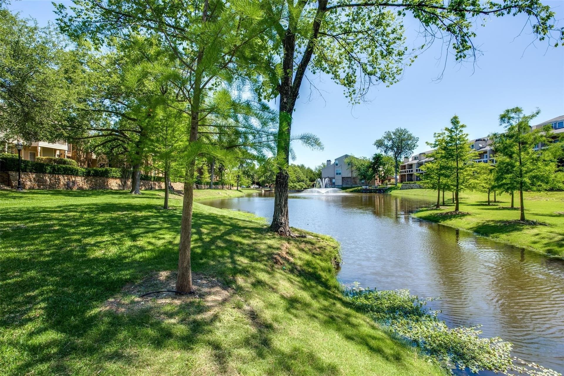 10.06 acres in Dallas County - photo 36