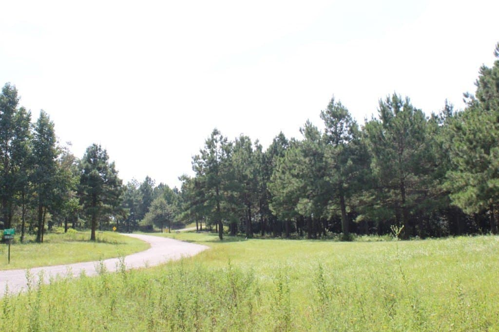 3.87 acres in Texas County - photo 6