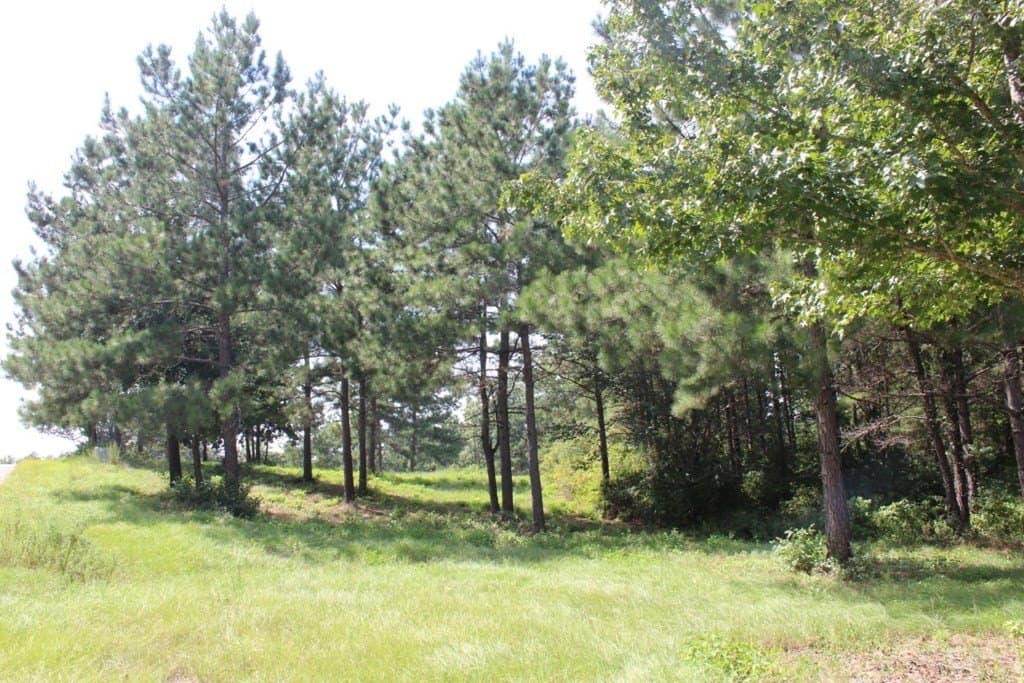 3.87 acres in Texas County - photo 10
