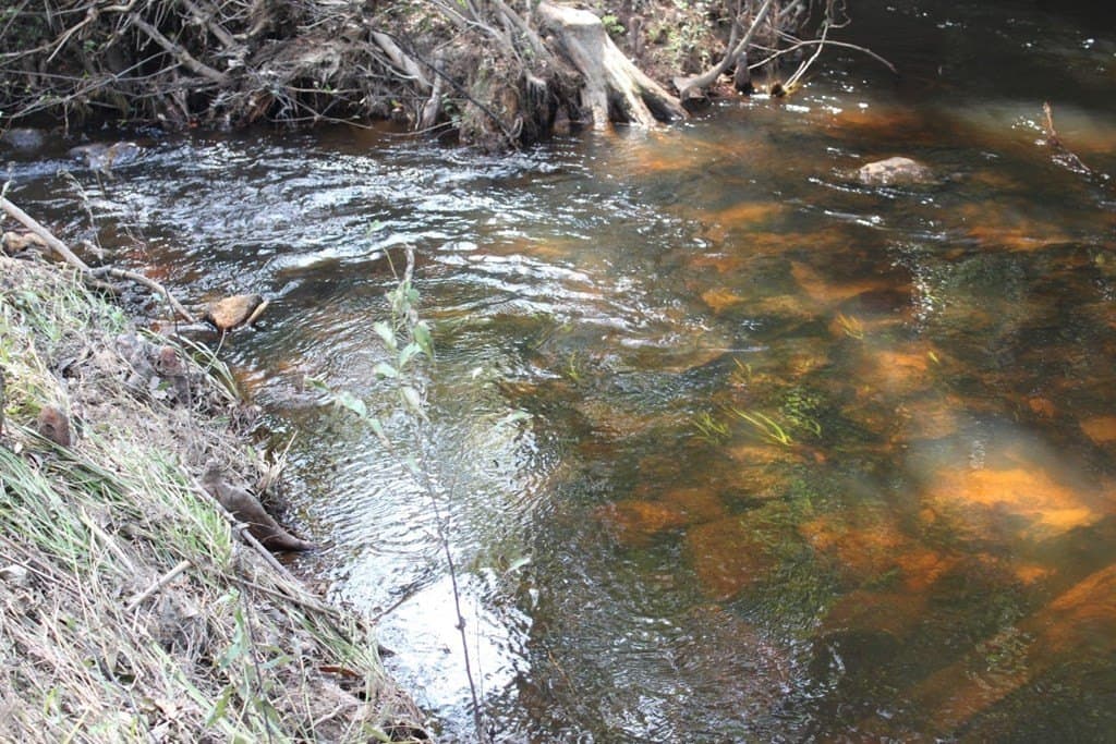 3.87 acres in Texas County - photo 2