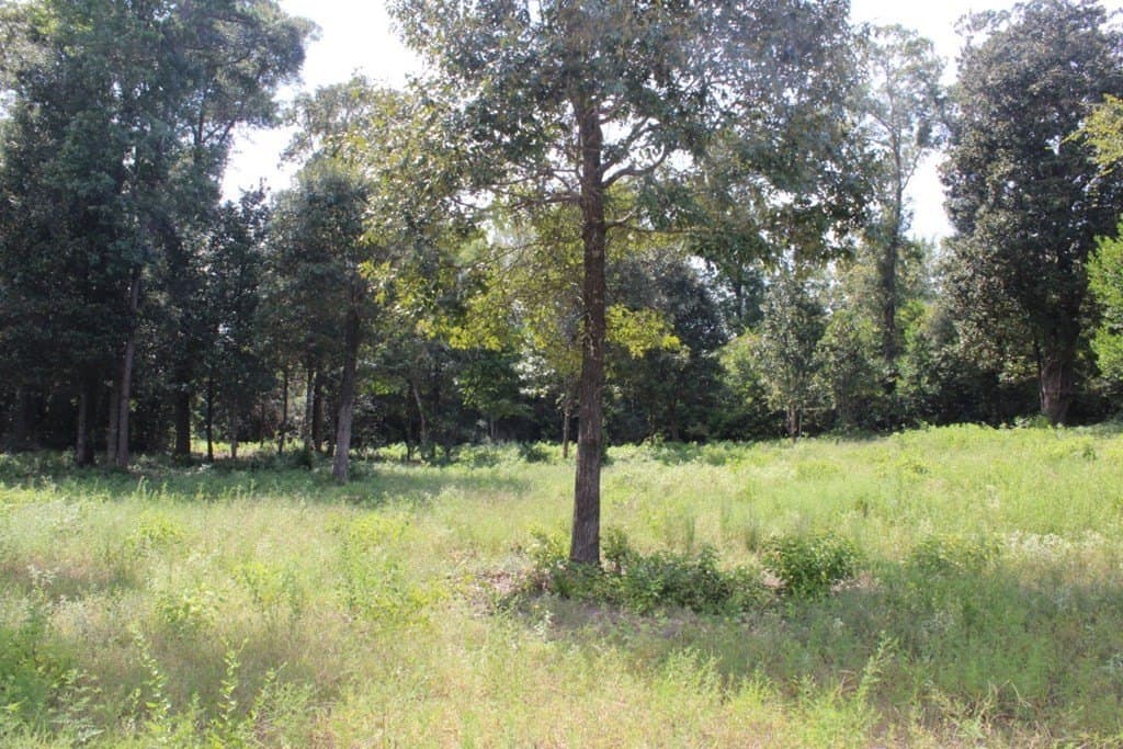 3.87 acres in Texas County - photo 18