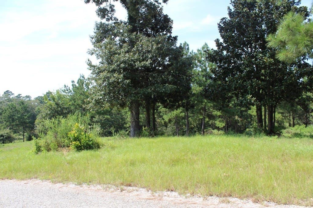 3.87 acres in Texas County - photo 12