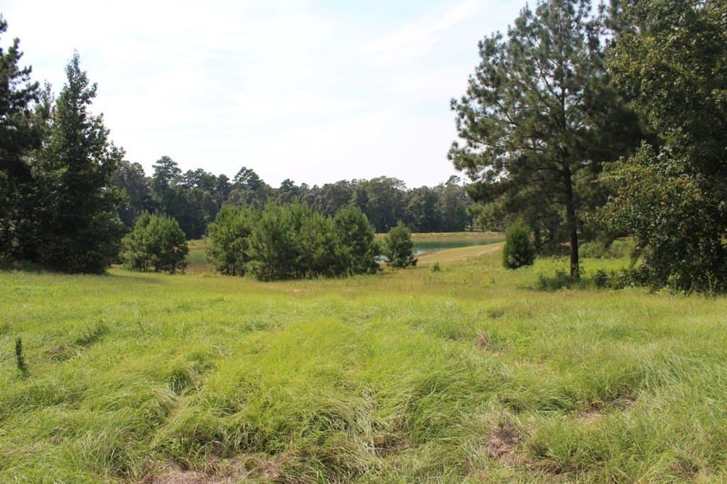3.87 acres in Texas County - photo 28
