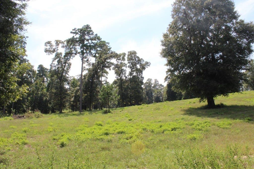 3.87 acres in Texas County - photo 16