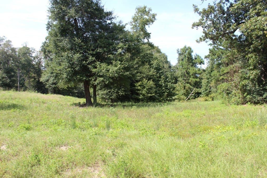 3.87 acres in Texas County - photo 15