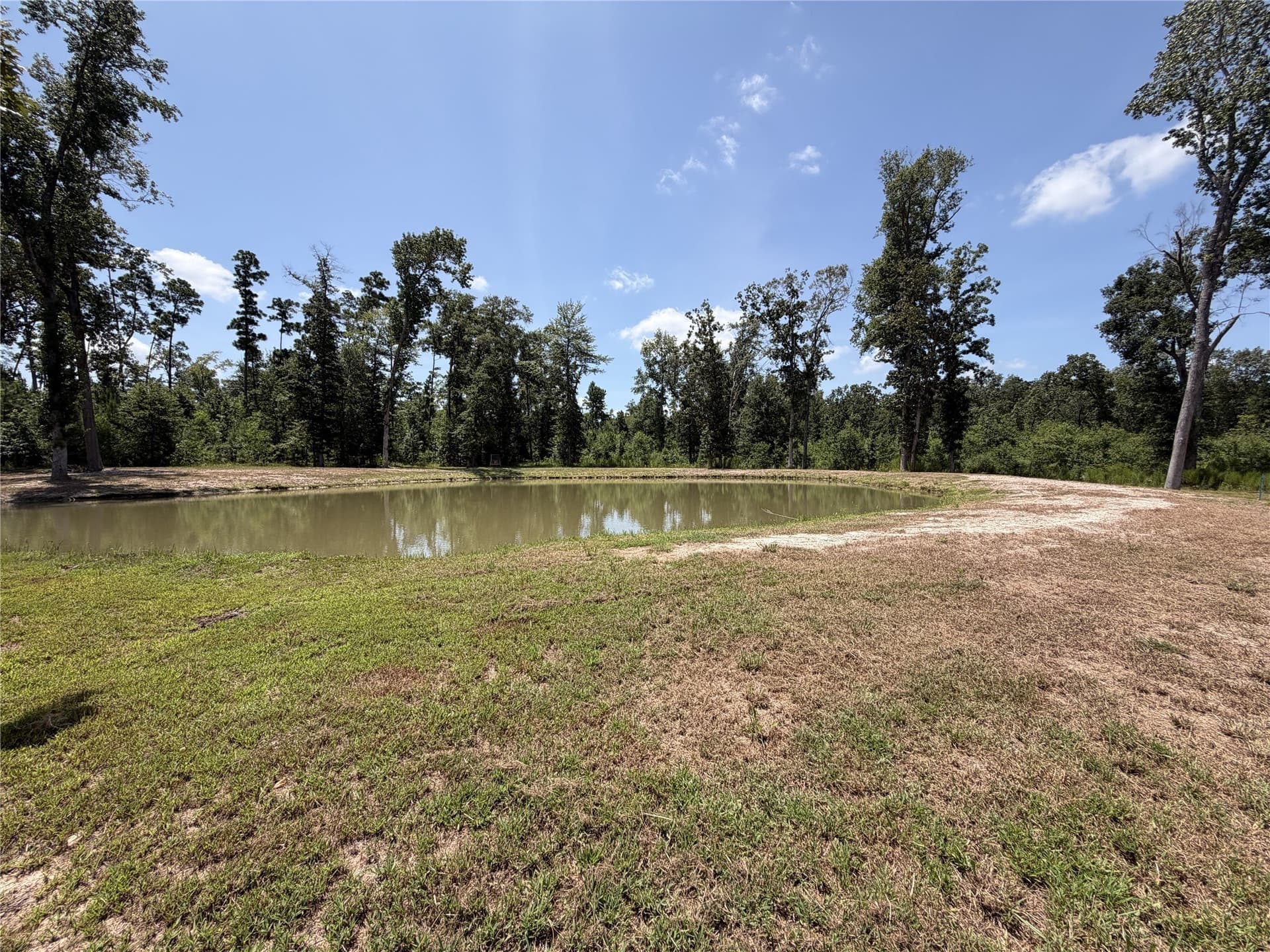 15.61 acres in Angelina County - photo 33