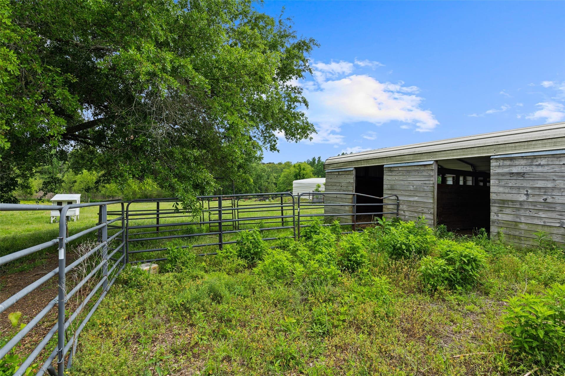 12.97 acres in Upshur County - photo 39