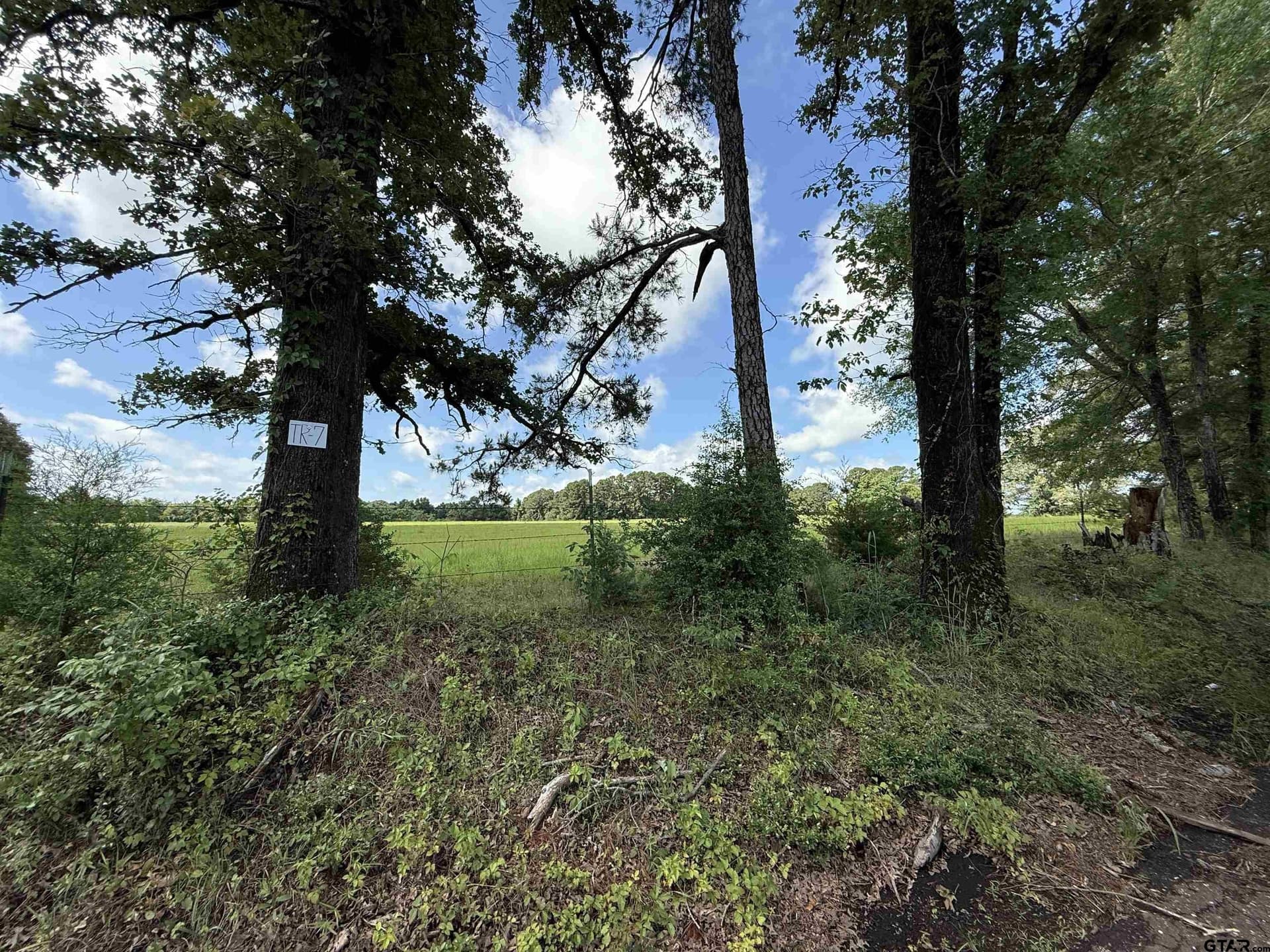 10 acres in Rusk County gallery image 4