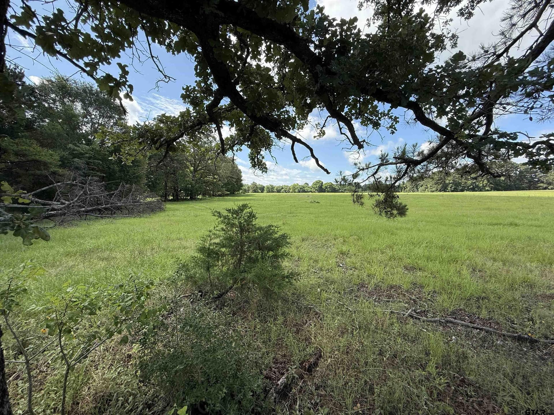 10 acres in Rusk County featured view