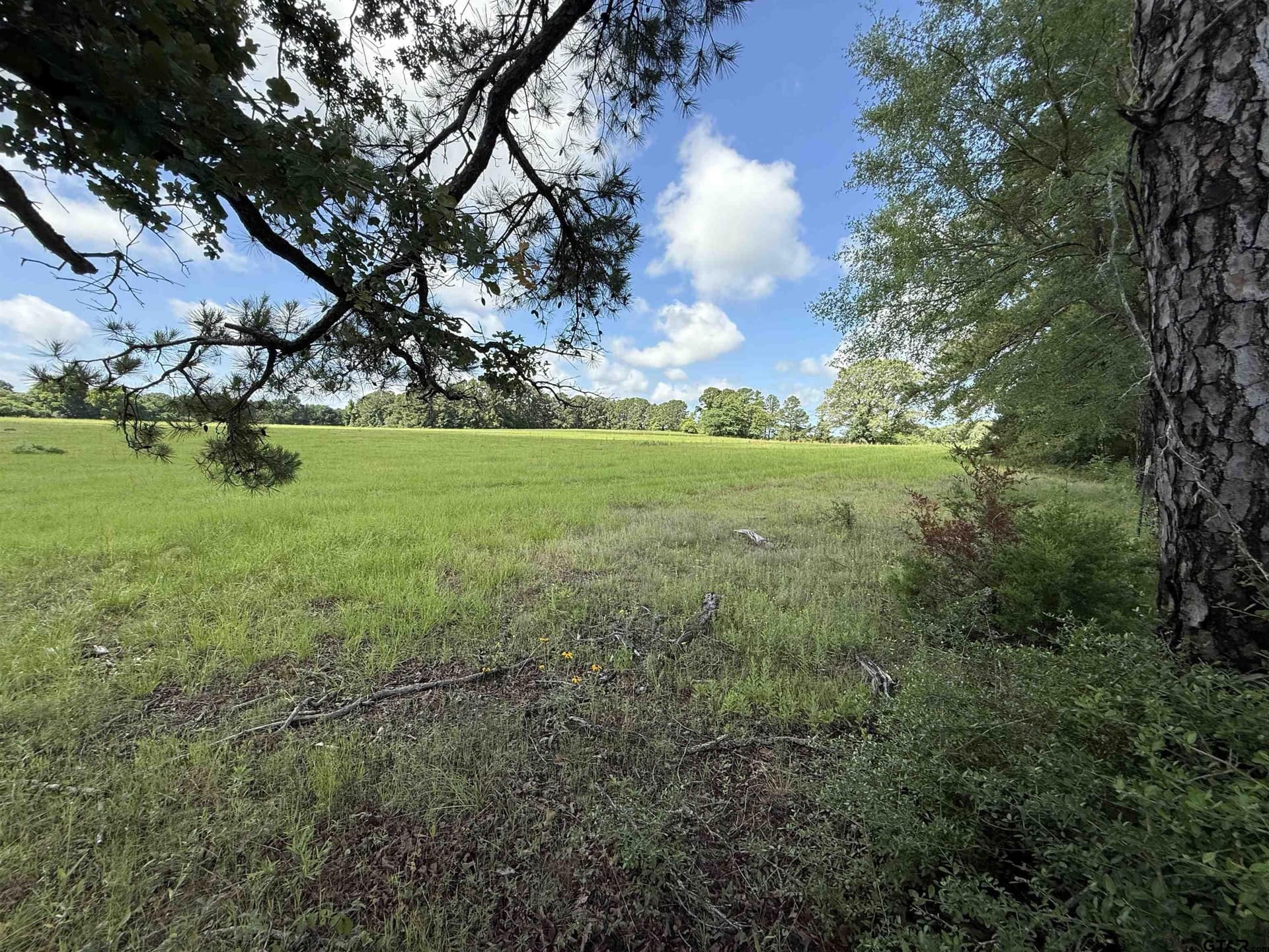 10 acres in Rusk County