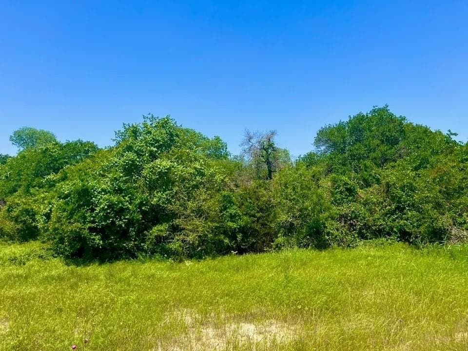 2.62 acres in Parker County
