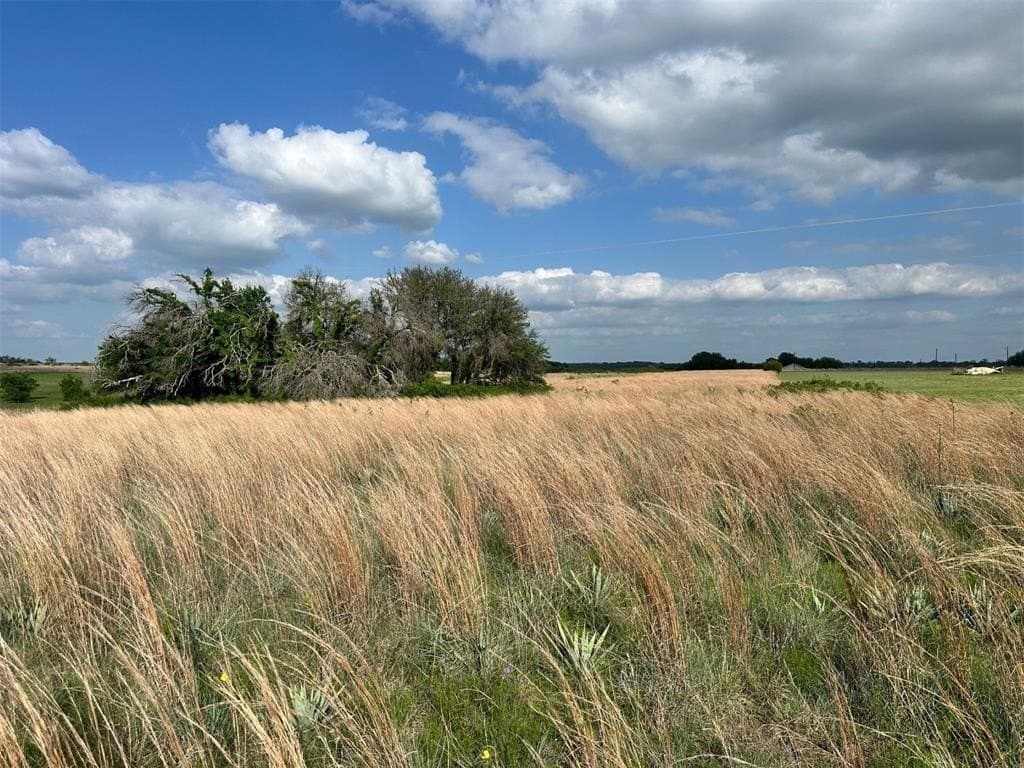 5 acres in Comanche County gallery image 3