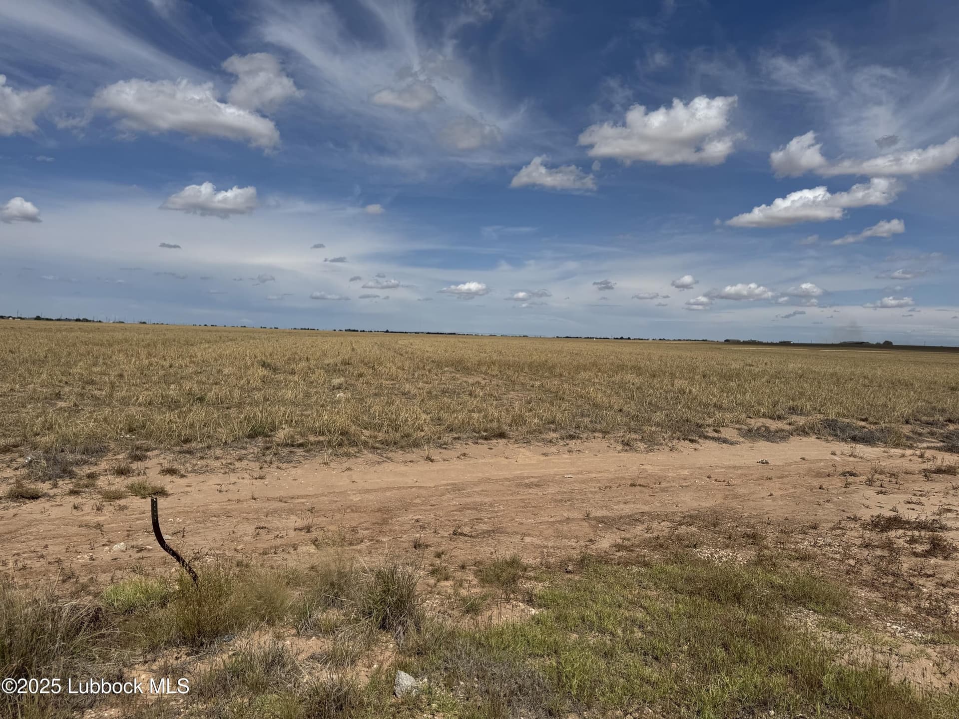 10.01 acres in Lubbock County gallery image 4