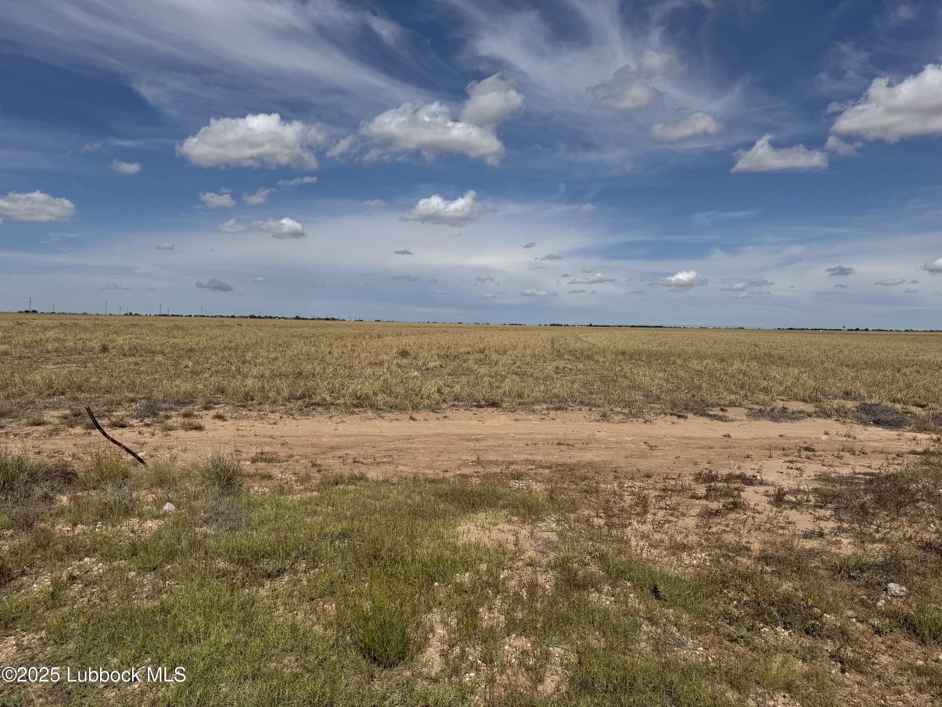 10.01 acres in Lubbock County gallery image 2