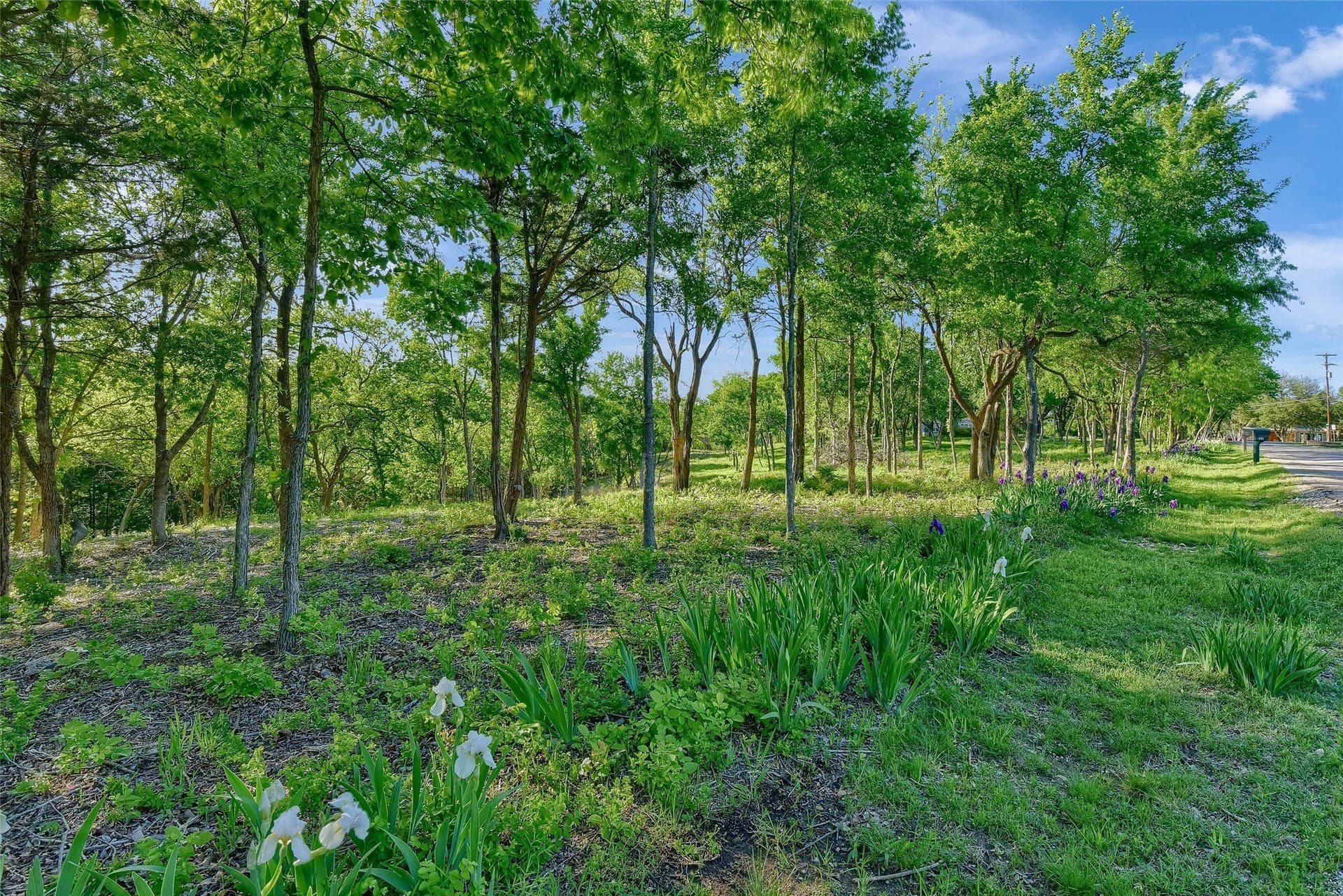 0.83 acres in Grayson County - photo 3