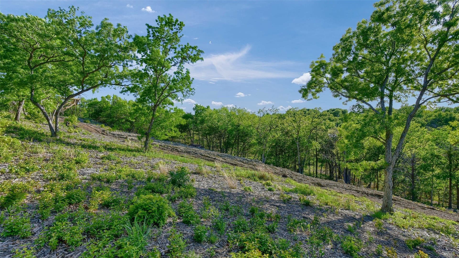 0.83 acres in Grayson County - photo 13
