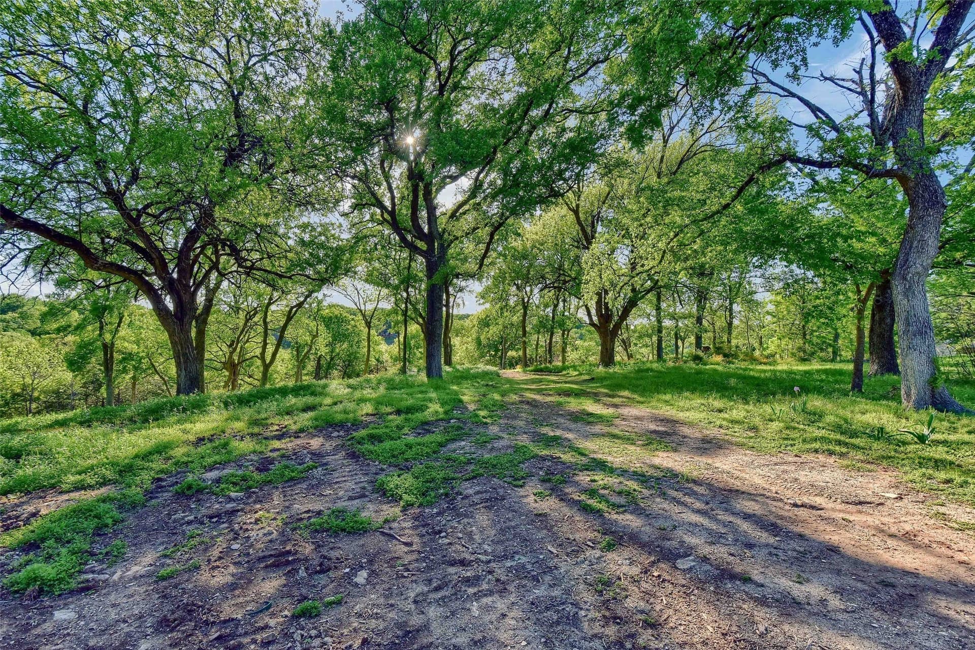 0.83 acres in Grayson County - photo 6