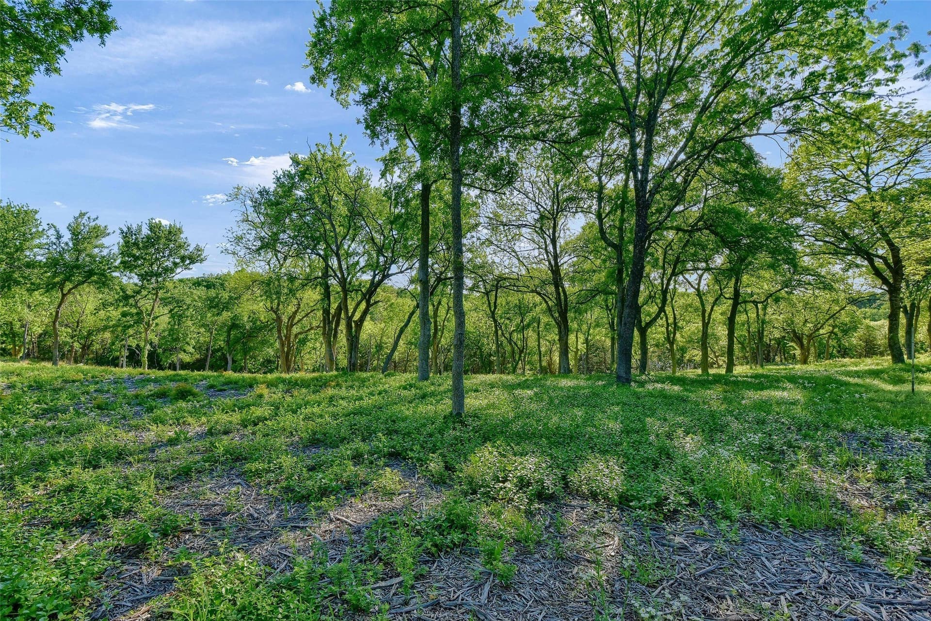 0.83 acres in Grayson County - photo 5