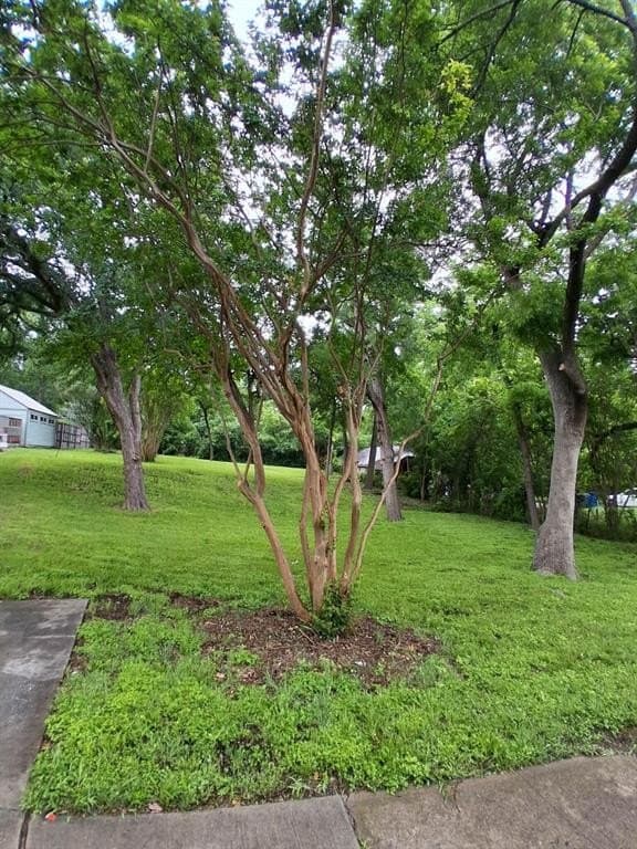 0.32 acres in Dallas County featured view