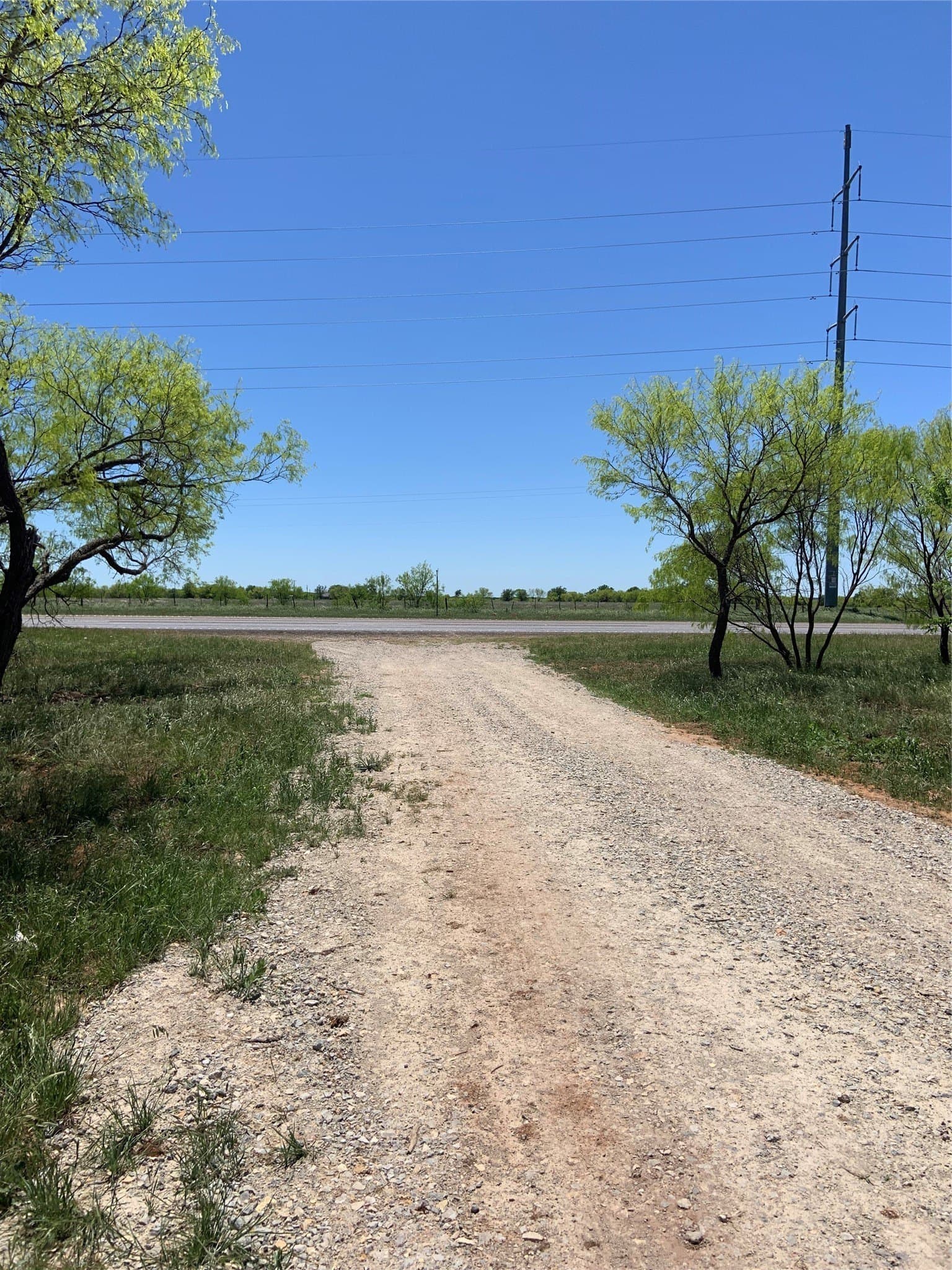 80.99 acres in Coleman County gallery image 3