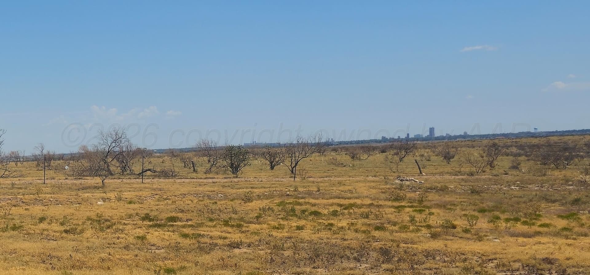5 acres in Texas County - photo 2